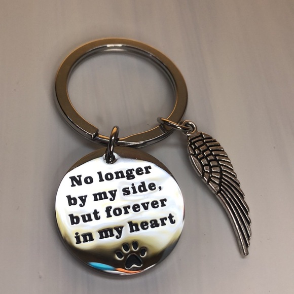 Pet memory Heart ( keychain) stainless steel - Picture 1 of 4